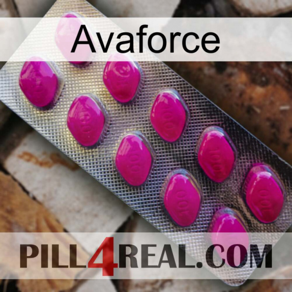 Avaforce 09.jpg